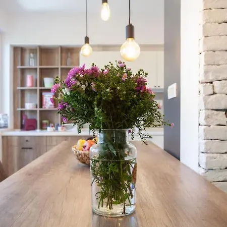Luxury Loft Center #2 Min To Main Square# Parking Skopje