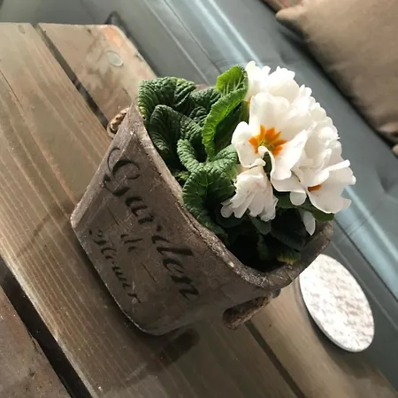 Luxury Mihajlovik In The Center Of Apartment Skopje