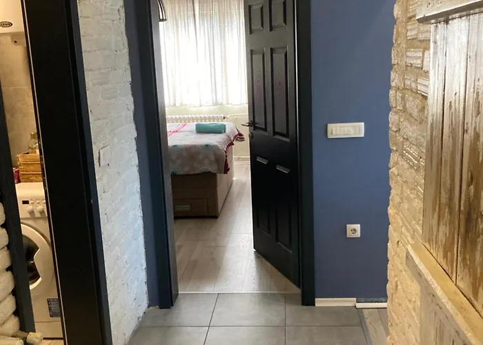 Mihajlovic Luxury -center-skopje Διαμέρισμα *