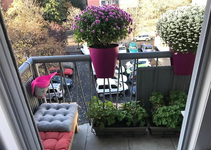 Apartment Mihajlovic Luxury -center-skopje *